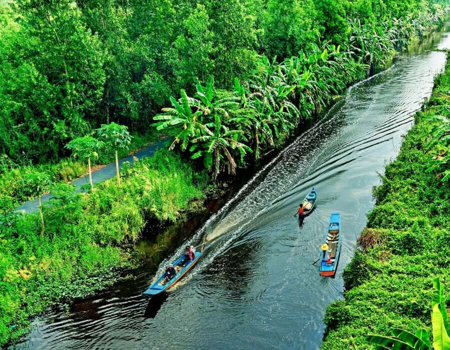 Rừng U Minh Hạ với hệ sinh thái ngập mặn đa dạng 