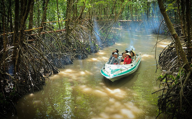 Tháng 11 đến tháng 04 là thời điểm khám phá rừng ngập mặn Cà Mau lý tưởng.