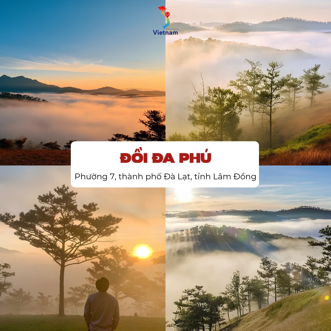 [2026] Thuê xe 16 chỗ Cần Thơ đi Đà Lạt 3 ngày 2 đêm giá rẻ